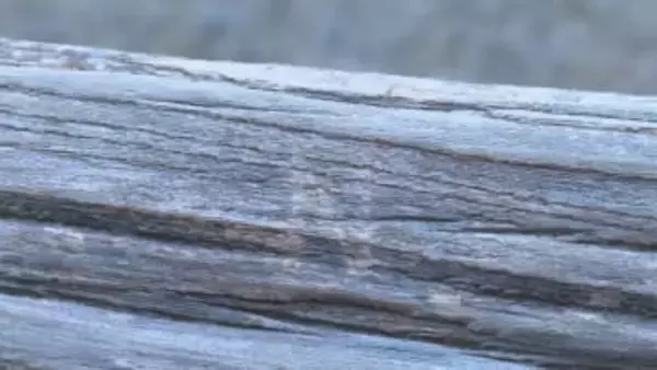 国の重要文化財「宇和島城」の天守に落書き見つかる、宇和島市が被害届提出へ【愛媛】