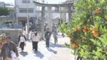 市民ら900人参加 松山市でクイズを楽しみながら三津浜の町並みを巡るイベント「松山ふるさとウォークin三津浜」【愛媛】