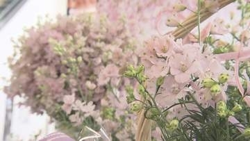 愛媛県が開発の「さくらひめ」認知度アップへ、松山城ロープウェイ駅舎で展示