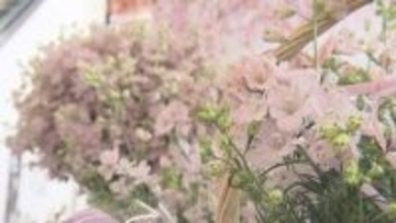 愛媛県が開発の「さくらひめ」認知度アップへ、松山城ロープウェイ駅舎で展示