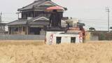 「愛媛が日本一の生産量「はだか麦」松前町で収穫始まる、麦みそや押し麦・麦茶などで食卓へ」の画像1