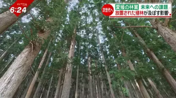 県土面積の7割を森林が占める愛媛県、林業従事者は年々減少で…放置林が及ぼす影響と課題