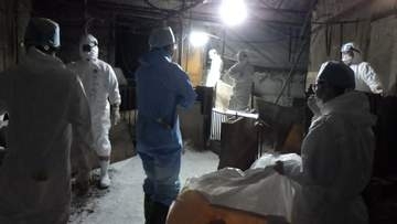 【速報】大洲・豚熱の殺処分終了 約2200頭の子豚など殺処分【愛媛】