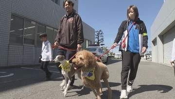 目印は黄色いバンダナ！地域見守る「わんパト隊」松山南署管内で82頭が活動【愛媛】