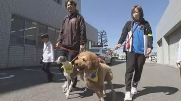 目印は黄色いバンダナ！地域見守る「わんパト隊」松山南署管内で82頭が活動【愛媛】