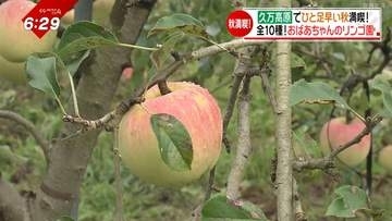 シルバーウィークは秋を探して高原の町へ　動物たちに絶品グルメひと足早く秋を満喫！