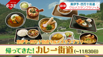 愛媛・南予と高知・四万十の特産を味わうオリジナルカレー８選！グルメスタンプラリーで道の駅を巡ろう