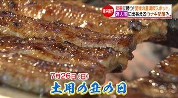 猛暑を逆手に楽しむ！満開ヒマワリと名水そうめん、達人技のウナギ、農園の黒いちごかき氷で涼と夏を満喫！【愛媛】