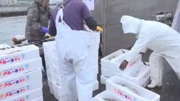 発泡スチロールや魚粉も値上がり…中東情勢で愛媛の養殖業にも影響