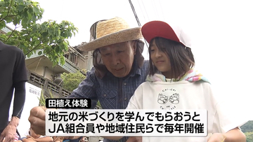 地元の米づくりを学ぼう、松山市で小学生が「田植え」体験
