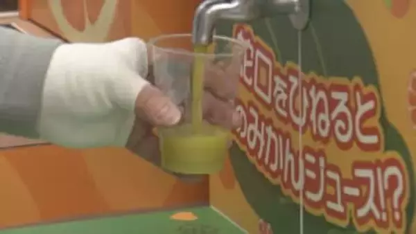 松山空港「蛇口からみかんジュース」に行列、ファンケルが“西予産の青汁”ミックスを一日限定で振る舞う