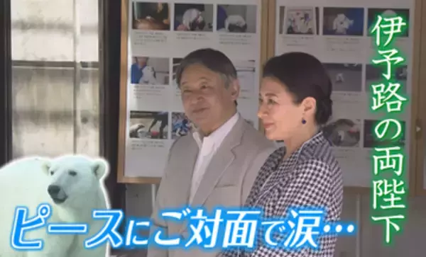 「会うのが夢でした」天皇皇后両陛下がとべ動物園で“白くまピース”にご対面、皇后さまが涙した理由