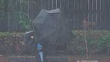 「2か月ぶりのまとまった雨　松山46ミリ　雨のピークは過ぎ警報級の大雨の可能性は低下　あす明け方にかけ土砂災害には注意を【愛媛】」の画像1