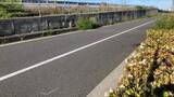 「松山市で停車中の軽乗用車と衝突 自転車の大学生の男性が死亡」の画像1