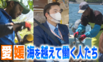 深刻な人手不足で…愛媛で働く”外国人労働者“が過去最高の1万5925人、各業界の実情は