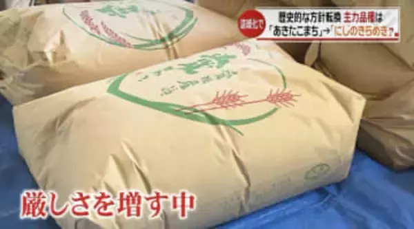 温暖化で愛媛産のコメ 主力品種を「あきたこまち」→暑さに強い「にじのきらめき」に置き換えへ