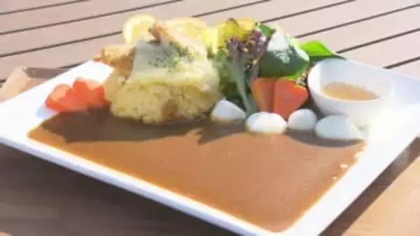 伊予農高生が考案！ハートフルなカレーが伊予灘サービスエリアで3月限定販売