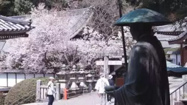 春の「へんろ道」を歩いてみれば…お遍路さんたちが“歩く理由”