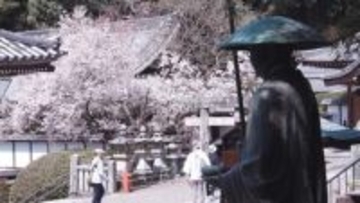 春の「へんろ道」を歩いてみれば…お遍路さんたちが“歩く理由”