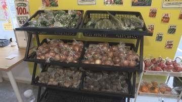 1袋100円で販売　松山市に野菜無人販売所　規格外の野菜を有効活用【愛媛】