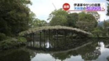 伊達家ゆかりの日本庭園「天赦園」でノボリフジが満開 愛媛・宇和島市