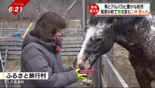 「人の都合で作られて、人の都合で殺される」再会したグランプリホースは殺処分寸前だった…愛媛で“養老牧場”をはじめた女性の決意