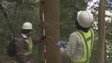 「家族3人犠牲の松山城土砂崩れから1年半 再発防止へ樹木の調査すすむ」の画像1