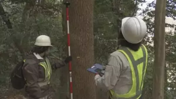 家族3人犠牲の松山城土砂崩れから1年半 再発防止へ樹木の調査すすむ