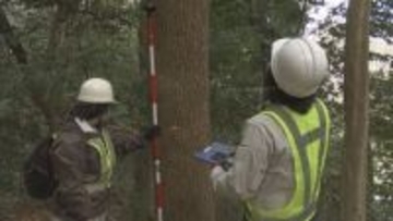 家族3人犠牲の松山城土砂崩れから1年半 再発防止へ樹木の調査すすむ