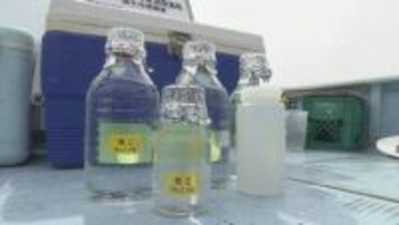 海水浴シーズンを前に 7つの海水浴場で水質調査、大腸菌の数や透明度など調べる 愛媛・松山市