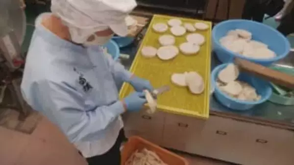 噛むとバリバリ音がする 松野町の郷土料理「雷漬」作り盛ん【愛媛】