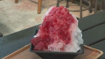 夏の絶景に、スタミナ満点のウナギ、そして、農園のひんやりスイーツ。"猛暑の夏”を満喫しよう【愛媛】