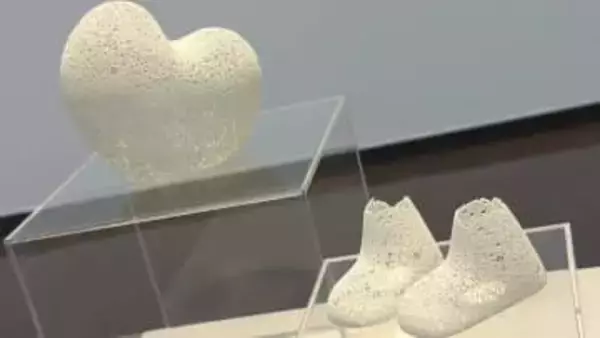 岡山県ゆかりの若手美術家に贈られる「I氏賞」1次選考を通過した11人の絵画や立体作品を展示「選考作品展」