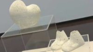 岡山県ゆかりの若手美術家に贈られる「I氏賞」1次選考を通過した11人の絵画や立体作品を展示「選考作品展」