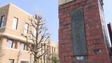 「「味方だと思っていた細胞が別のがんを助けてしまう」がん免疫療法で「隠れていたリンパ腫」の細胞増殖が促されるメカニズムの一端を解明【岡山大学などの研究グループ】」の画像1