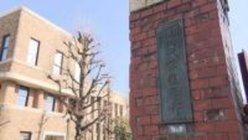 「味方だと思っていた細胞が別のがんを助けてしまう」がん免疫療法で「隠れていたリンパ腫」の細胞増殖が促されるメカニズムの一端を解明【岡山大学などの研究グループ】