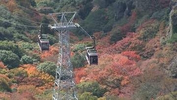 香川県への観光客は1988年に次ぐ2番目の多さ　県立アリーナの開業・瀬戸内国際芸術祭の開催などが増加を後押し【香川】