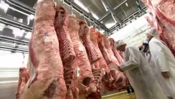 岡山県産ブランド和牛の初競り“枝肉共励会”　最高値は新見市産の牛 1キロあたり2,905円