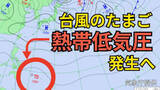 「【台風情報】1月なのに...台風のたまご「熱帯低気圧」があす（14日）発生の見込み　今後「台風」へ発達か【気象庁雨風シミュレーション 13日発表】」の画像1