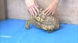 「GWの池田動物園　動物たちとふれあう特別イベント開催【岡山】」の画像1
