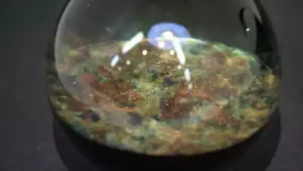 ガラス作家と陶芸家「小孫哲太郎・戸田晶子二人展」　合作も含め約100点を展示【岡山】