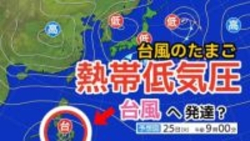 【台風情報】11月下旬なのに...新たな「台風のたまご」熱帯低気圧が発生か　今後台風に発達する？全国各地の天気シミュレーション【気象庁発表　23日午前8時更新】
