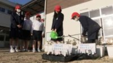 故郷の山の再生を目指して「いろんな遊びがまた出来たら」大規模山林火災の山で小学生が植樹へ【岡山】