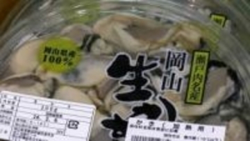 「身入りのいいカキが育ってきている」　岡山県産のカキをもっと食べて　おいしい旬の味が戻ってきた【岡山】