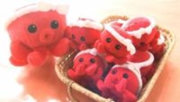 受験シーズン本番　滝宮天満宮には続々と合格祈願の参拝者　そばに「置くと」試験を「パス」するオクトパスのぬいぐるみも【香川・綾川町】