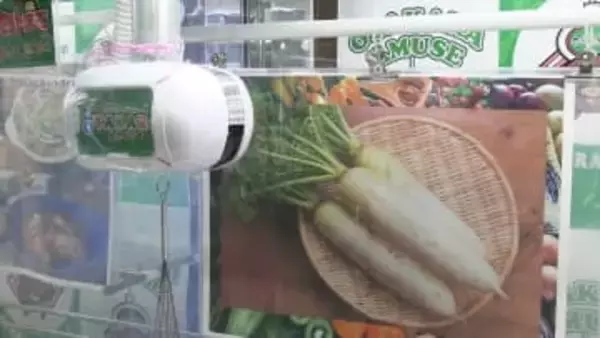 【大盤振る舞い！】クレーンゲームの景品に意外なものが…まるでスーパーのような光景にびっくり！　さらなる進化も【岡山・津山市】