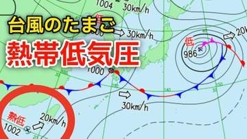 【台風情報】新たな台風のたまご「熱帯低気圧」日本の南西で発生…進路は北東で1時間に20キロの速さで進む…気象情報に注意 9日（火）まで雨風シミュレーション【気象庁 天気図】