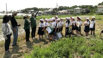 かつて総社市で盛んに栽培されていた “ハッカ”　小学生が歴史や栽培などについて学ぶ【岡山】