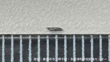 コッペパンに金属片が付着　検品で見つかる　けが人はなし　混入の原因を調査中【香川】