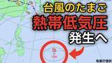「【台風情報】台風のたまご「熱帯低気圧」が今夜（25日）発生へ　今後の進路、日本への影響は？25日（月）～30日（土）3時間ごとの雨風シミュレーション【気象庁 25日最新情報】」の画像1